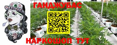 шишки Бузулук