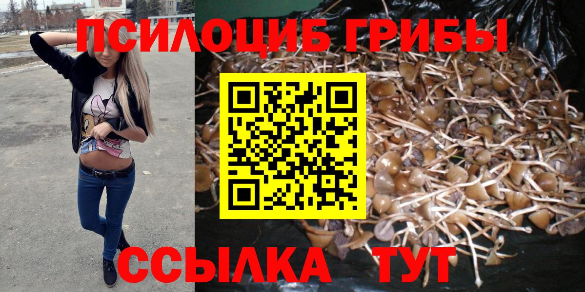 купить закладку  Вход с VPN  Ногинск  Псилоцибиновые грибы Psilocybine cubensis  Галлюциногенные грибы GOLDEN TEACHER 
